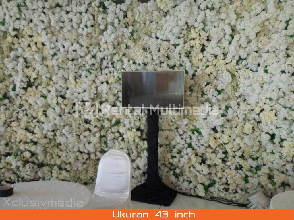 Rental Multimedia Murah Surabaya